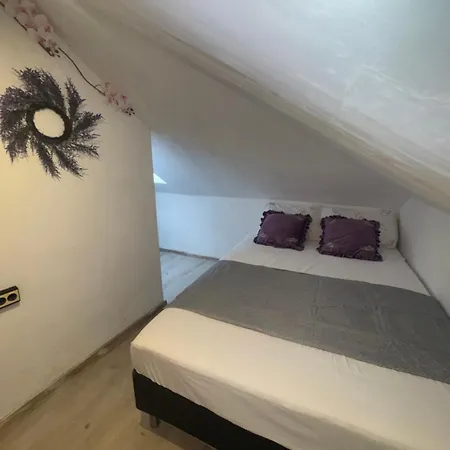 Konukevi Arolen 3*